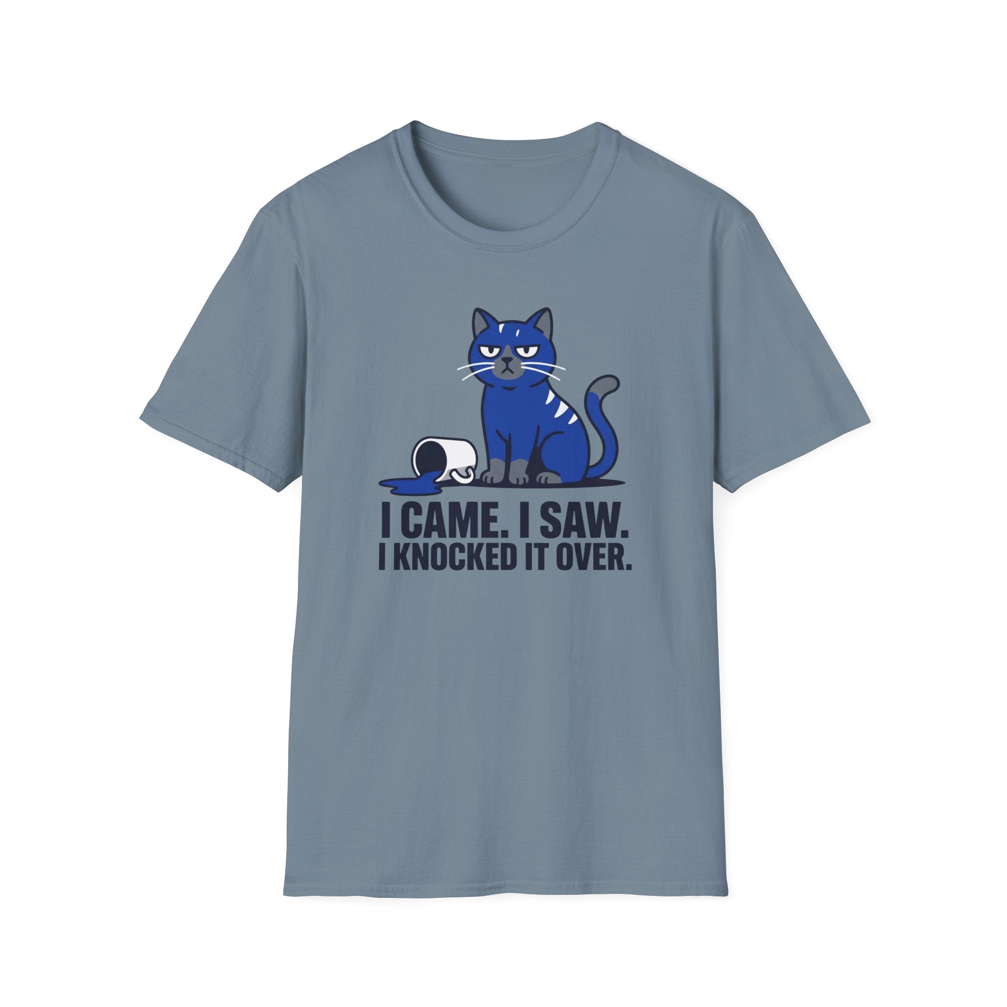 I Came. I Saw. I Knocked it Over. T-Shirt