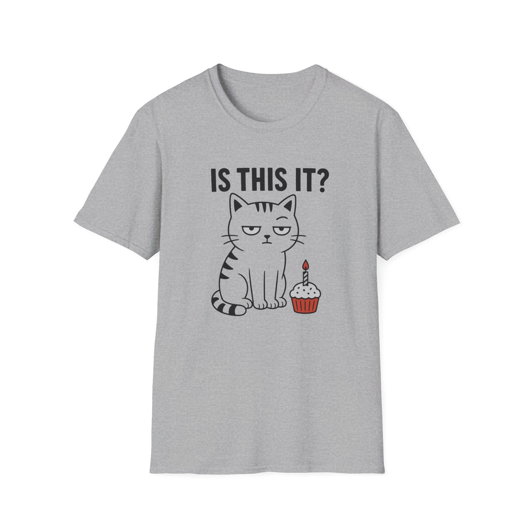 Is This It? T-Shirt