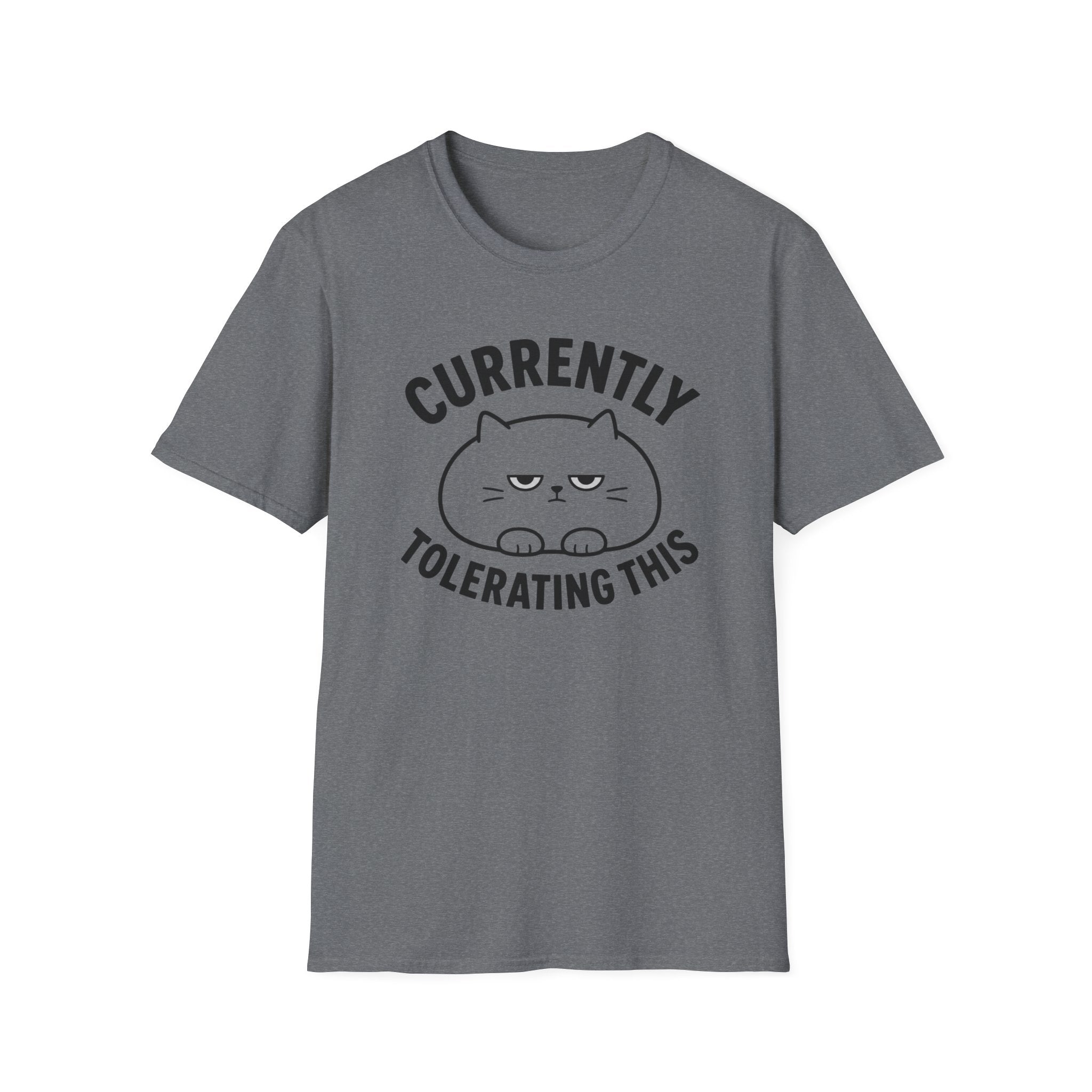 Currently Tolerating This T-Shirt