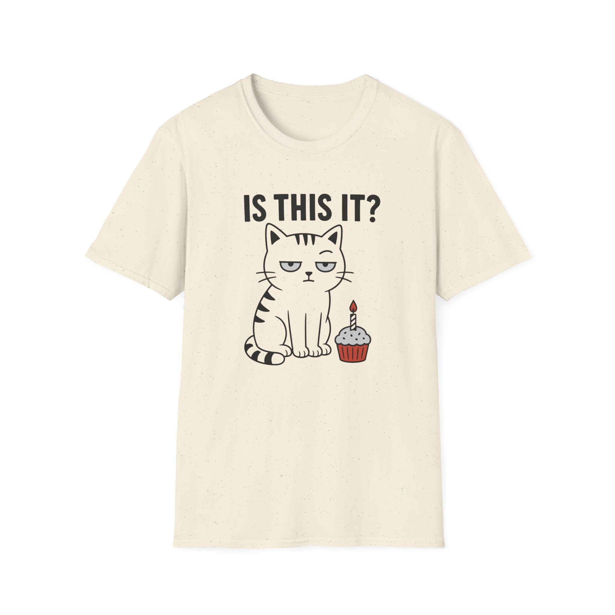 Is This It? T-Shirt