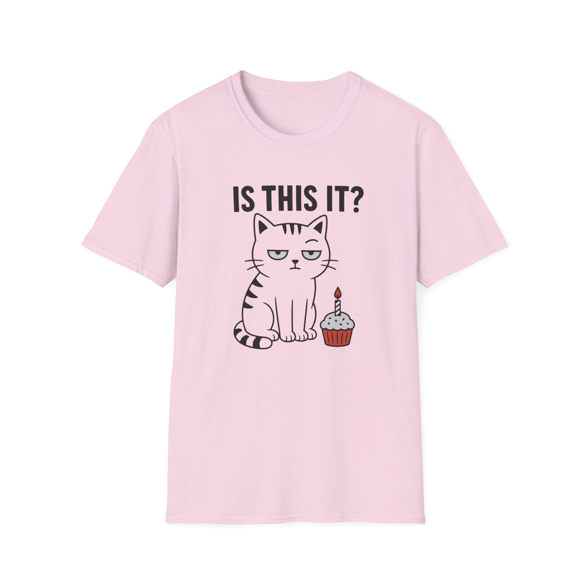 Is This It? T-Shirt