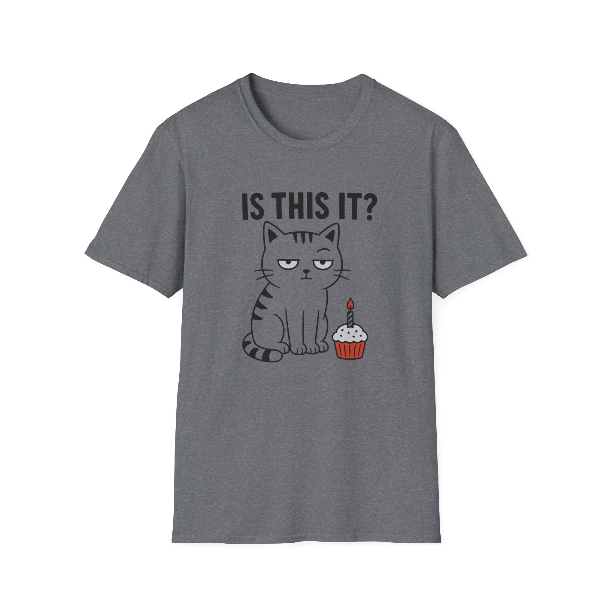 Is This It? T-Shirt