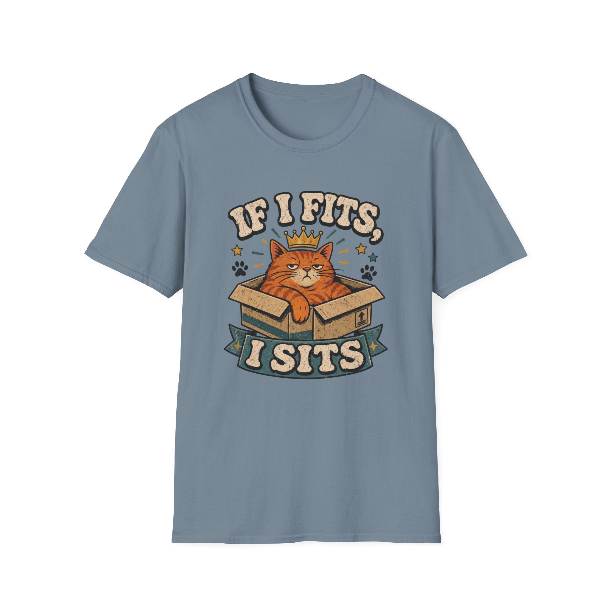 If I Fits I Sits T-Shirt