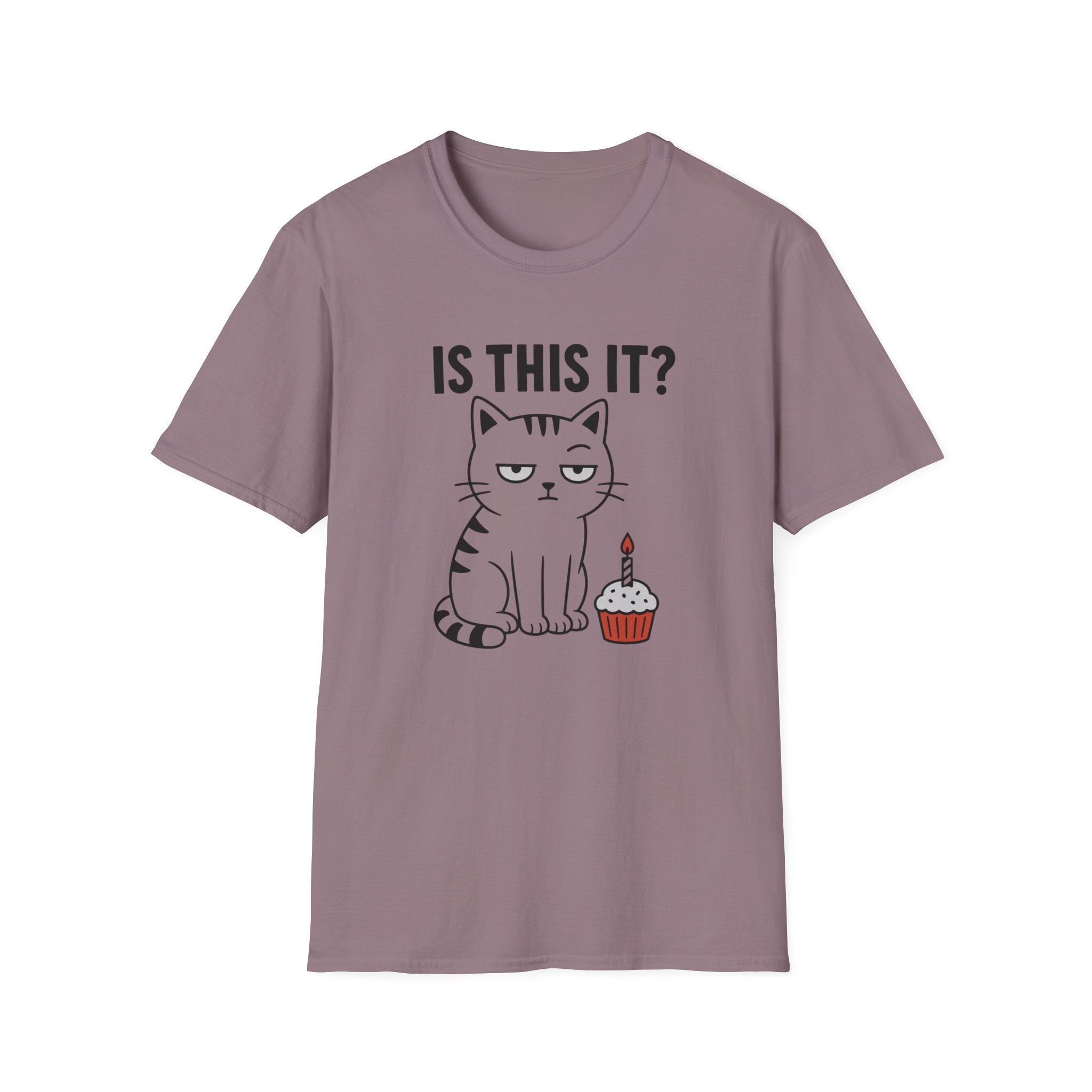 Is This It? T-Shirt