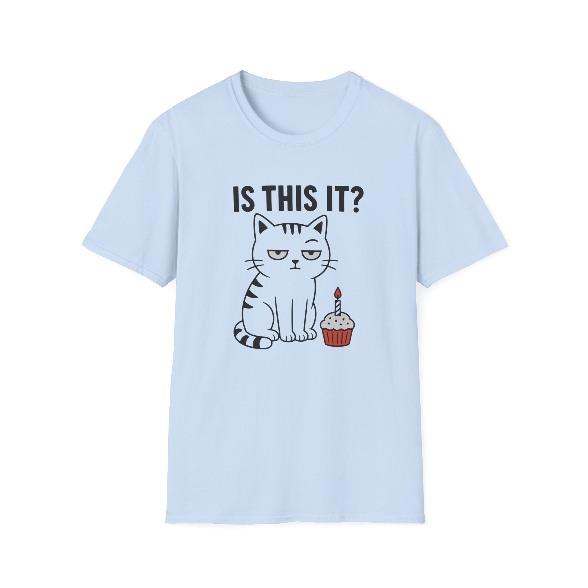 Is This It? T-Shirt